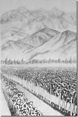 perspective atmosphérique