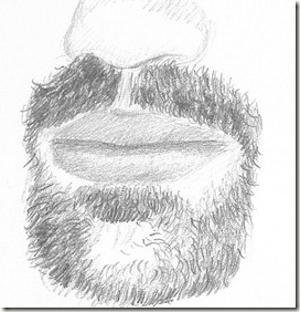 dessin correction barbe roy