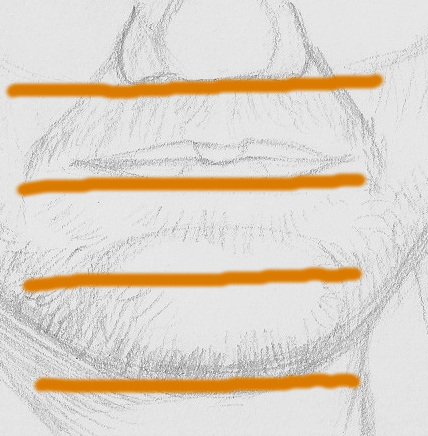 hauteur bouche