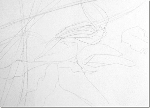 dessin de contour