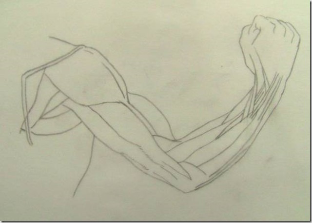 clip_image002