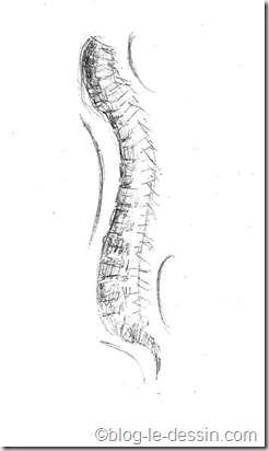 CV14