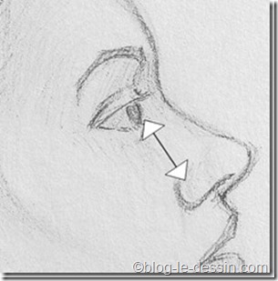 portrait femme profil_distance oeil et nez_thumb[5]