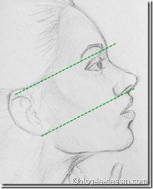 Sachez tout d'abord que le placement de l'oreille est primordial lorsqu'il s'agit de suggérer la posture du visage. Rappelez-vous que dans un portrait de profil, l'oreille se trouve entre le sourcil et la base du nez.
