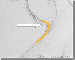 portrait femme profil_nuque_thumb[4]