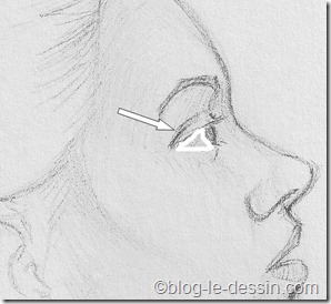 portrait femme profil_sclérotique
