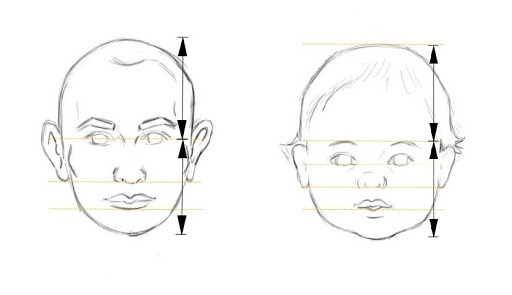 proportions d'un visage d'enfant