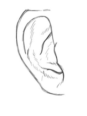 apprendre à dessiner une oreille