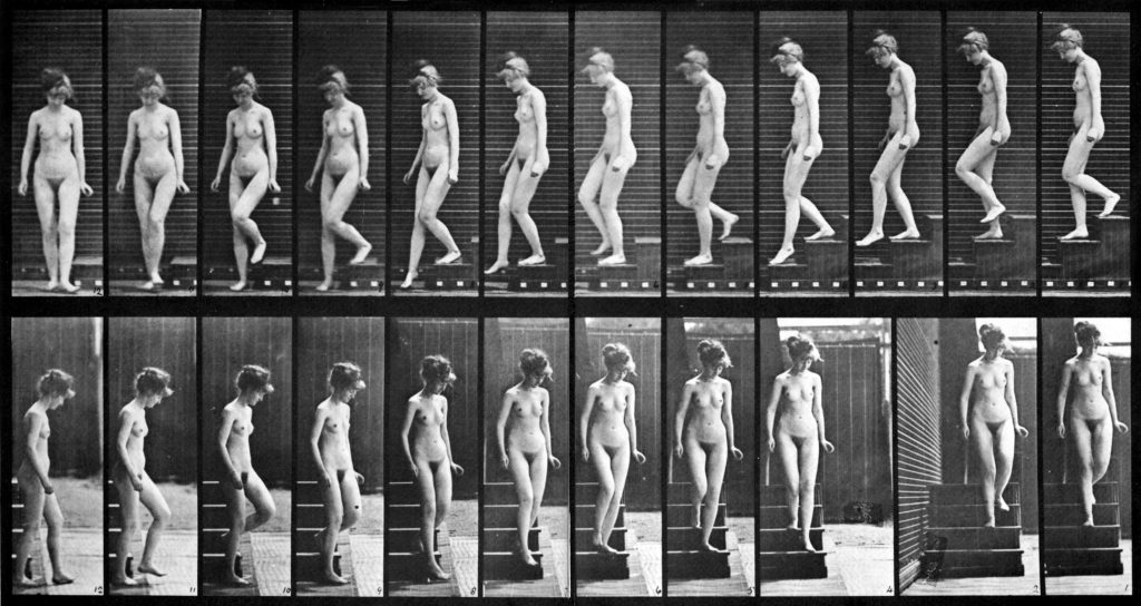 Une photographie de Muybridge, très utilise pour comprendre le mouvement d'un personnage