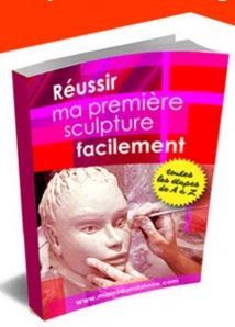 Le livre réussir votre première sculpture