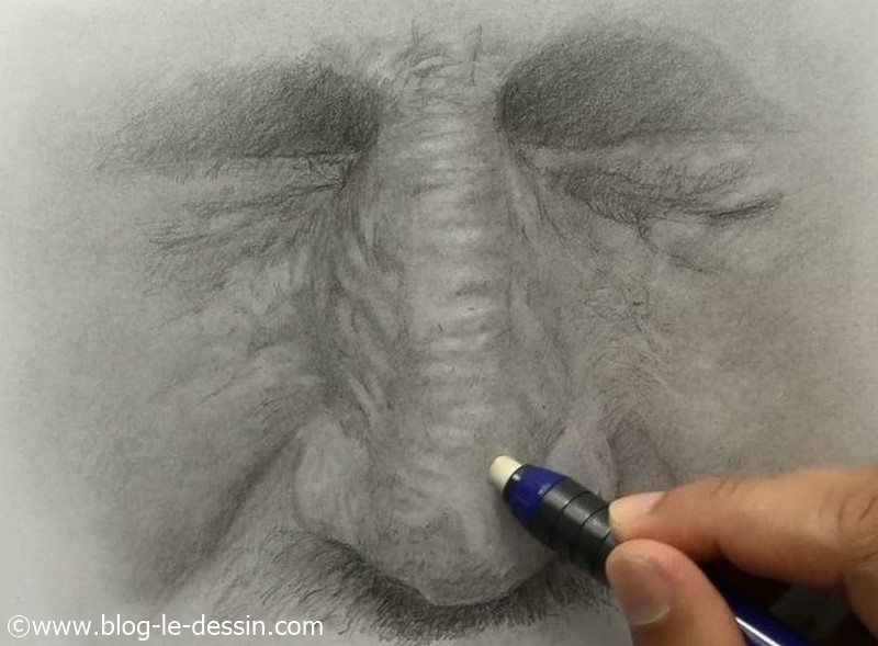 Je vais dessiner en ajoutant des coups de gomme précis sur les détails de la peau du nez pour terminer le relief. Cet outil est génial je vous invite à apprendre à l'utiliser !