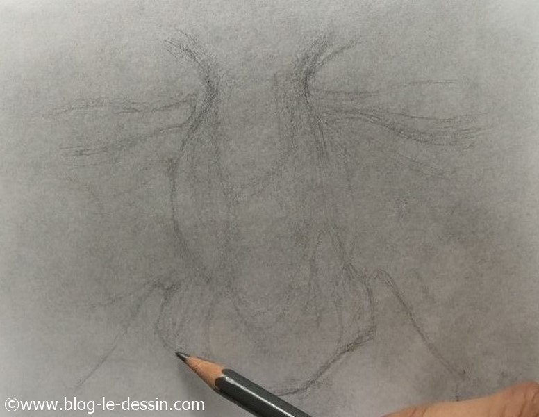 Je précise les premières lignes en revenant avec mon crayon 5B sur les contours.