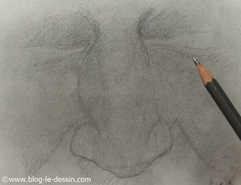 Je fais attention de bien remplir les zones d'ombres avec mon crayon grâce à de fines hachures.