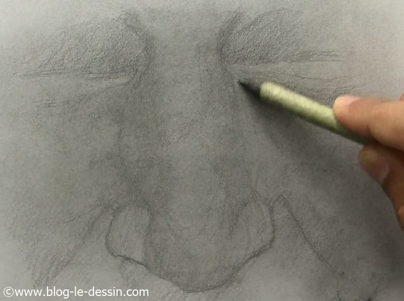 Je créé la texture en revenant sur les ombres avec mon estompe. J'obtiens un rendu plus lisse et uniforme sur mon dessin.