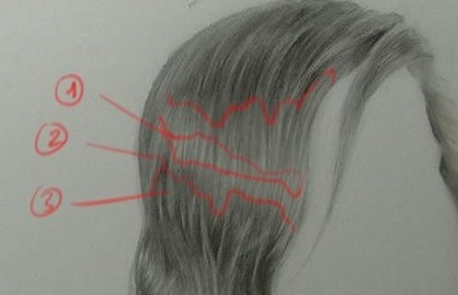 Une planche où vous voyez les zones importantes pour créer le modelé des cheveux.