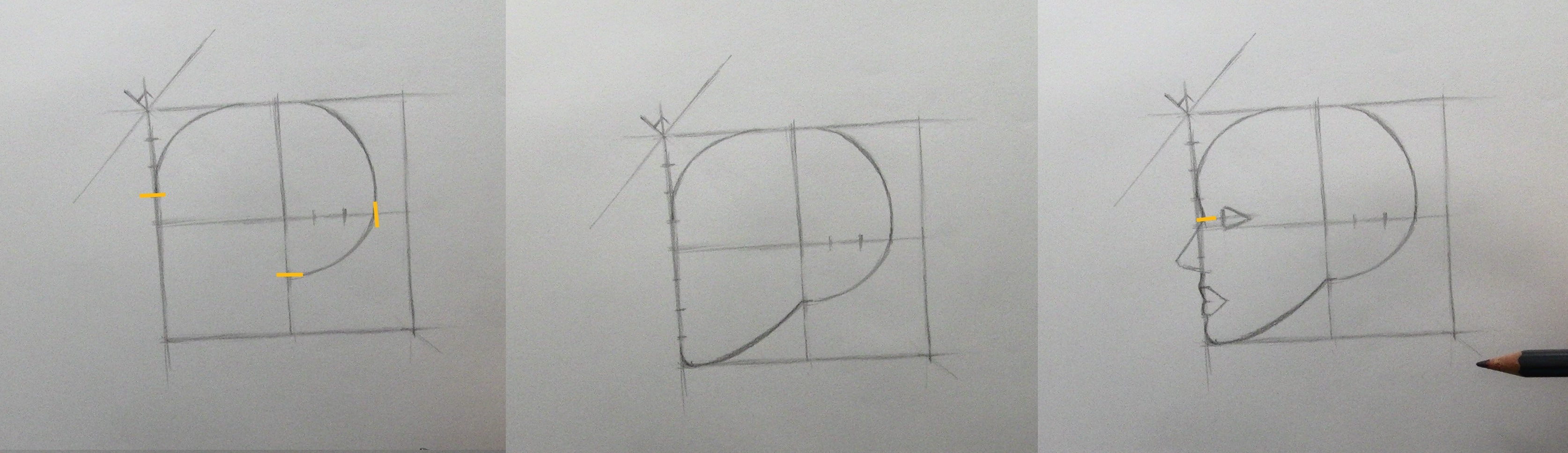 apprendre a dessiner etape par etape contour crane