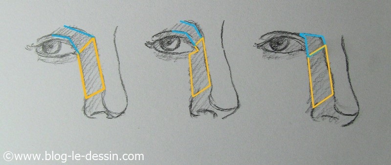 comment dessiner les yeux distance nez