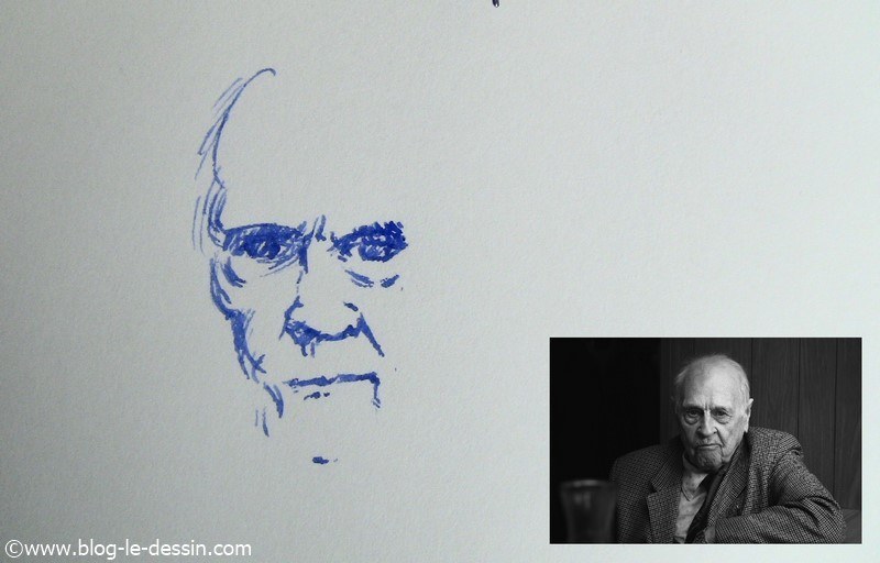 dessin stylo plume portrait partie 2