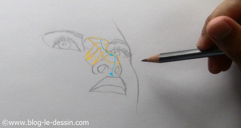 dessiner un nez realiste en contre-plongée surbrillance et relief