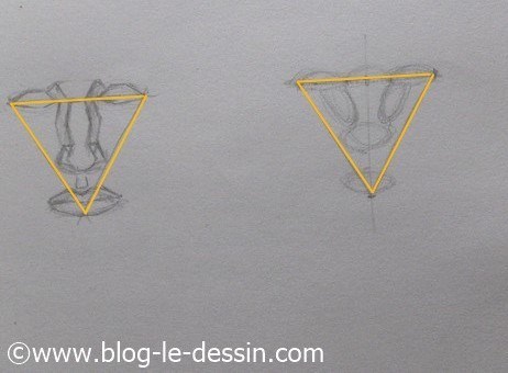 dessiner un visage proportions base triangle