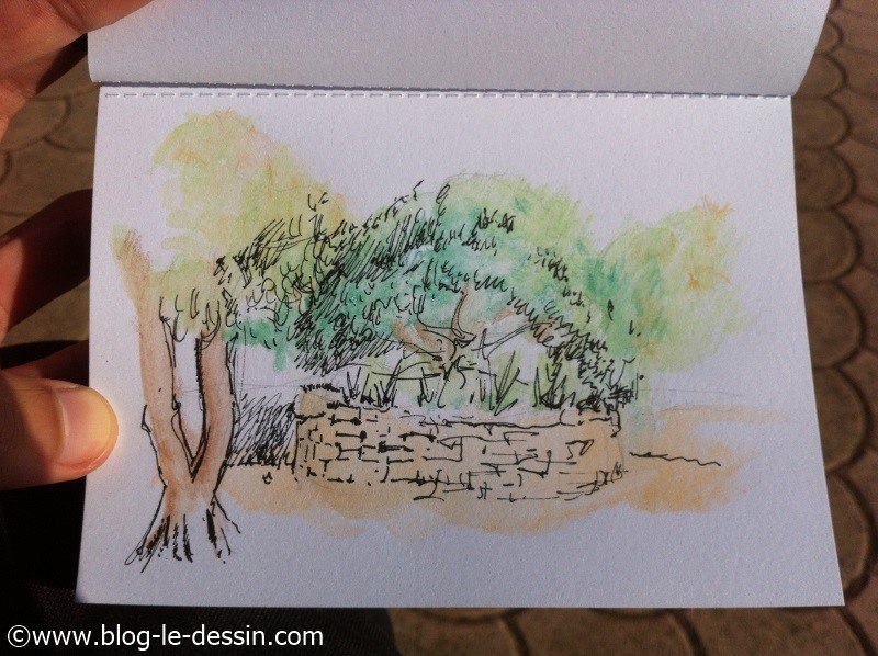 test crayons aquarelle