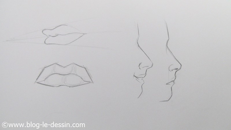 Reperez les petites boules dans les levres pour dessiner les bouches plus facilement.