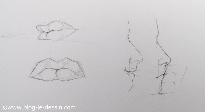 Vous pouvez diviser le visage en plusieurs parties pour trouver lemplacement de la bouche et la dessiner plus facilement