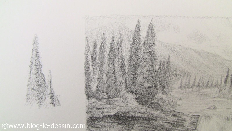 le rendu final des arbres dans ce paysage a dessiner avec une technique de contraste et dombre facile