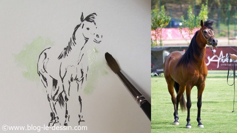 arriere plan aquarelle cheval atmosphere