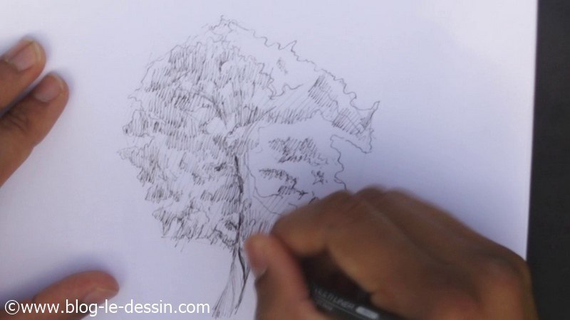 mise en volume du croquis arbre avec feutre encre