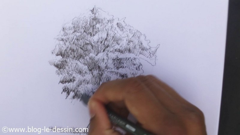 illustration dessiner arbre final