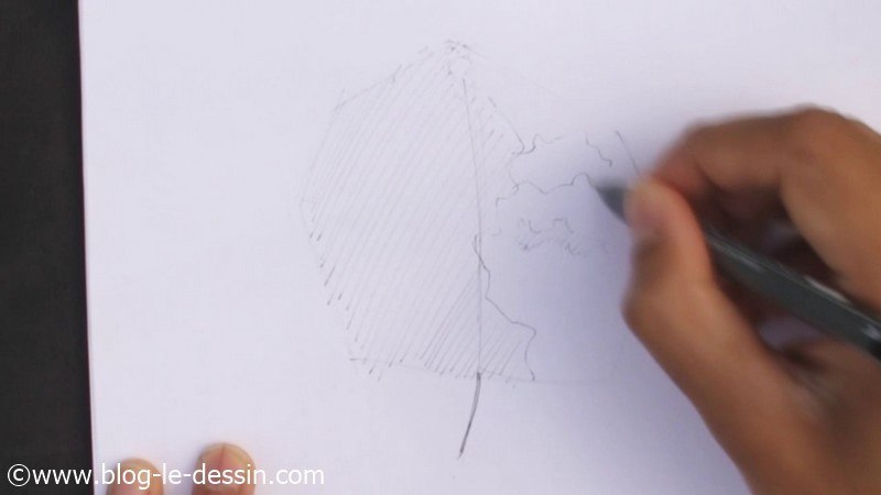 etape dessiner arbre sur le vif avec feutre encre