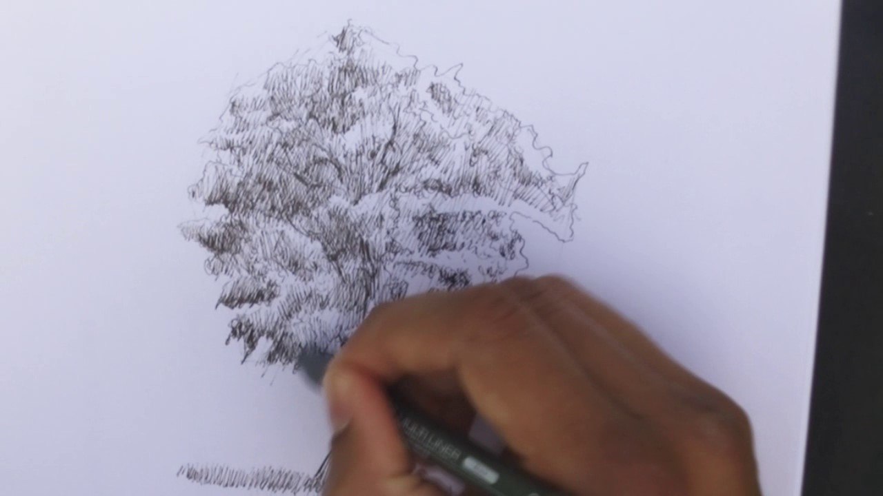 patience dessin arbre finitions details feuillage