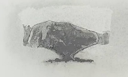 resultat apres sechage poudre graphite