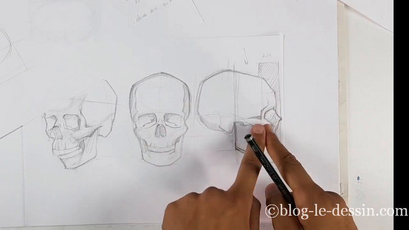Dessiner le squelette du crâne illustration 1 avec mesure et retouche