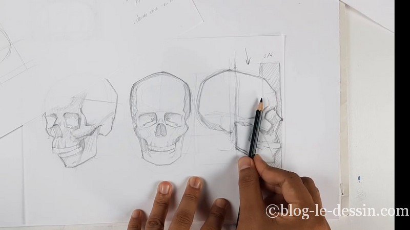 Dessiner le squelette du crâne et mesure au crayon