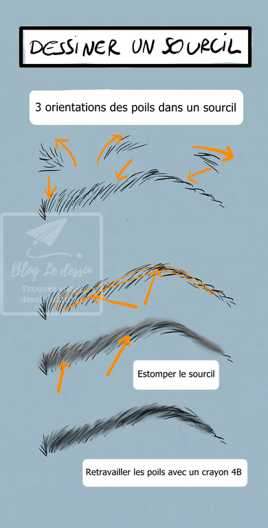 planche illustration pour dessiner les sourcils