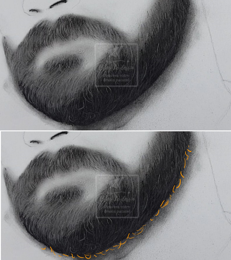 images avec deux étapes du dessin de poils de barbe réaliste