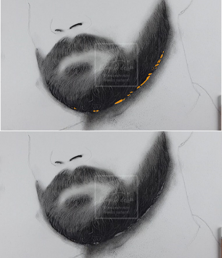 les deux étapes pour créer les poils de la barbe en photo