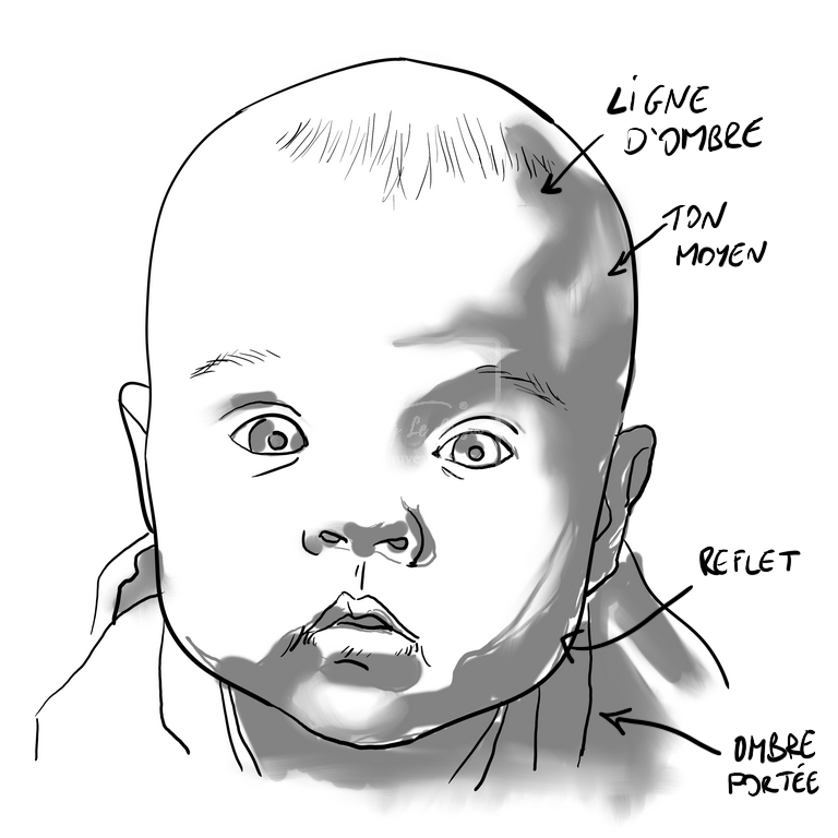 Planche de la position des ombres dans un portrait de bébé