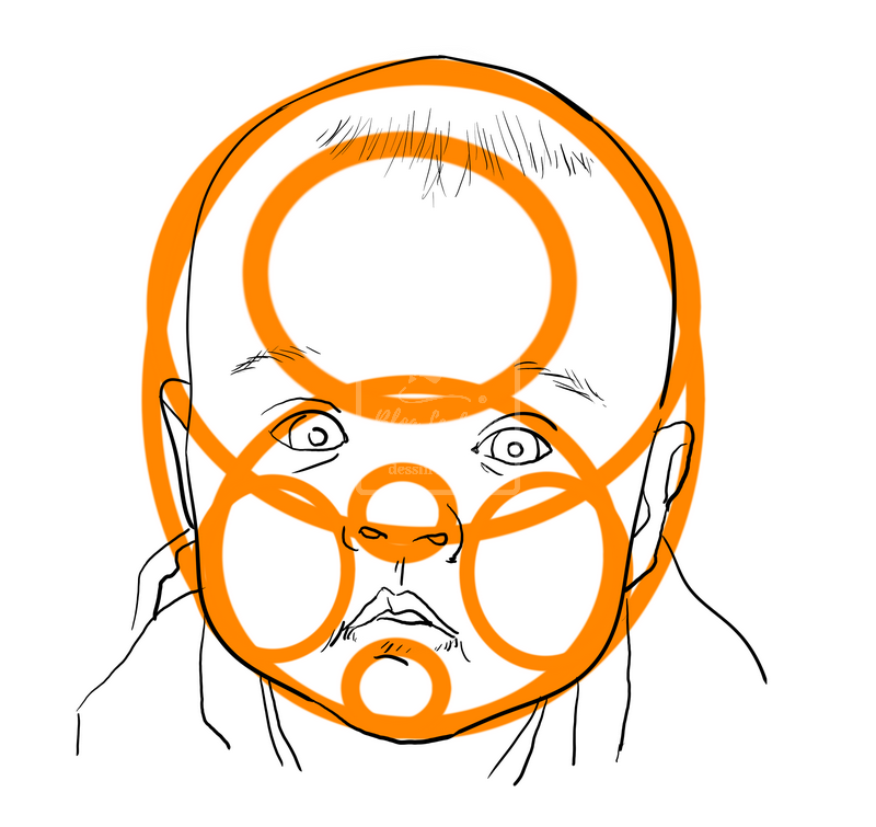 Schéma d'un portrait de bébé utilisant les sphères