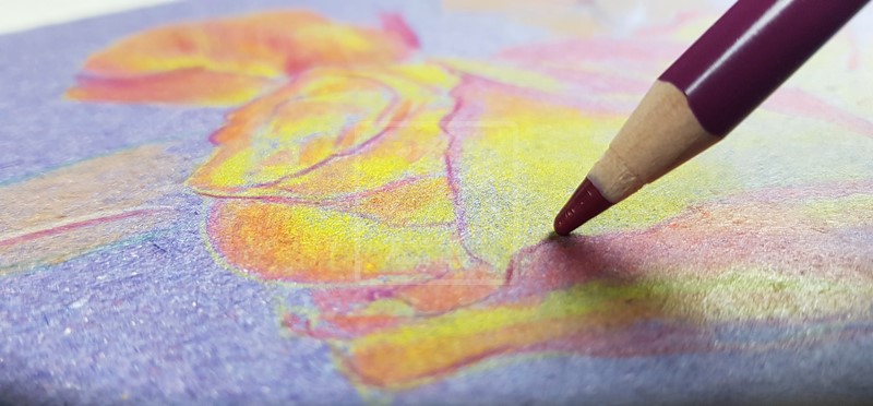 photo tracer contour rose crayon de couleur violet