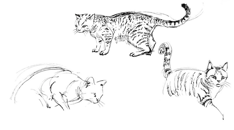 chats dessins feutre