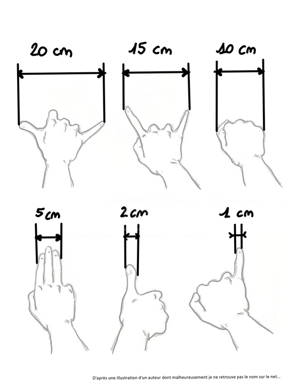 mesures avec la main en cm